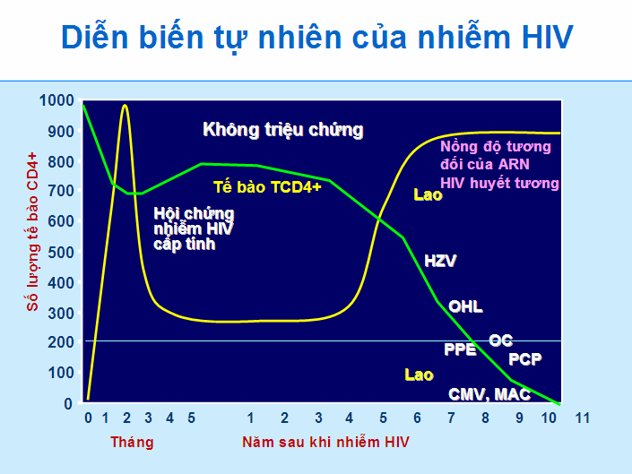 Những khoảng thời gian nào trong quá trình nhiễm HIV mà không xuất hiện triệu chứng?